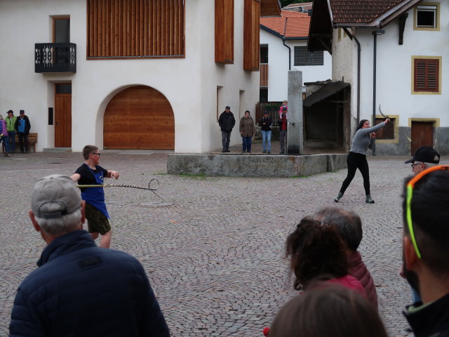 Haflingerfestival in Schluderns, 921 m (1. Juni)