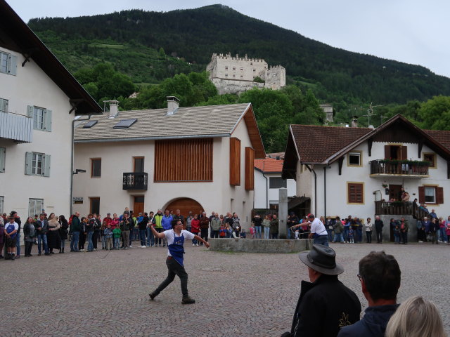 Haflingerfestival in Schluderns, 921 m (1. Juni)