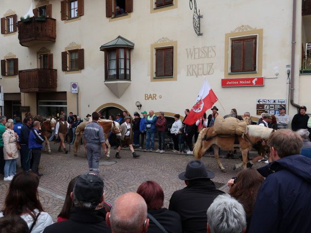 Haflingerfestival in Schluderns, 921 m (1. Juni)