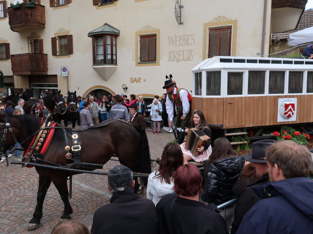 Haflingerfestival in Schluderns, 921 m (1. Juni)