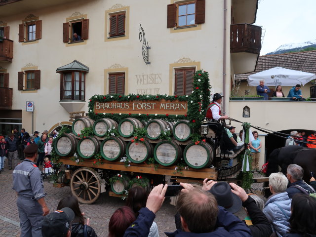 Haflingerfestival in Schluderns, 921 m (1. Juni)