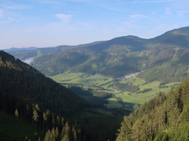 Pölstal vom Weingrubertal aus