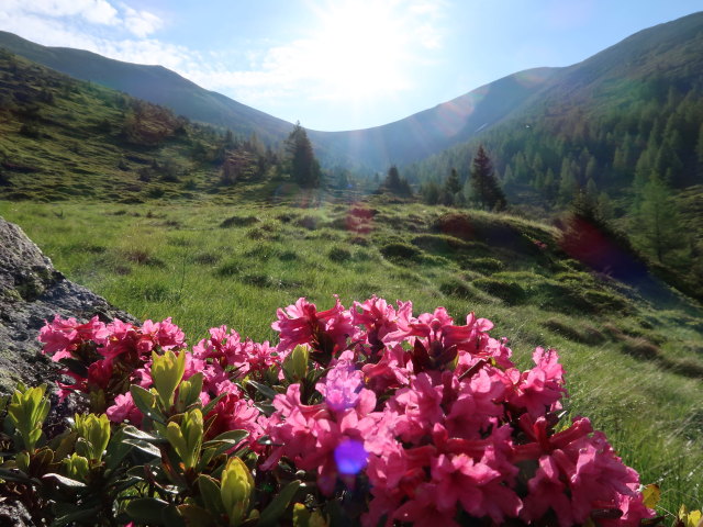 Weingrubertal