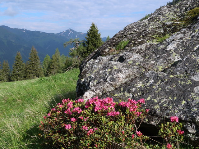 Weingrubertal