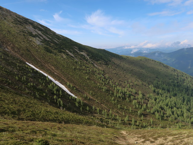 Weingrubertal