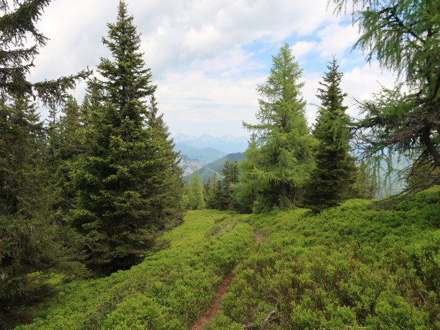 zwischen Kainzenboden und Hohentauern