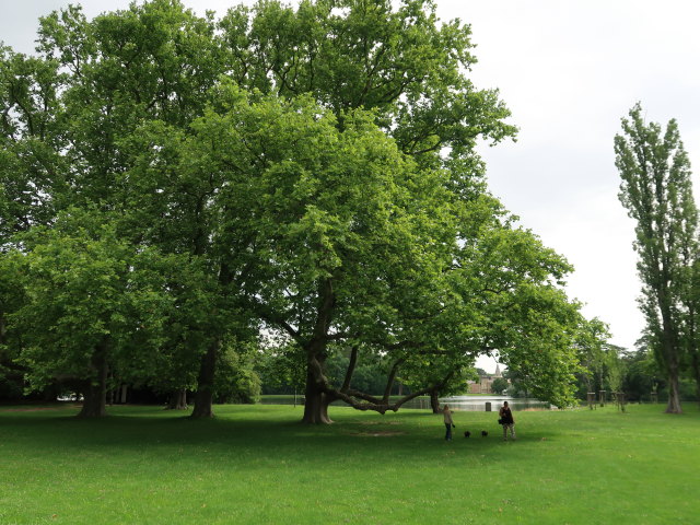 Schlosspark Laxenburg