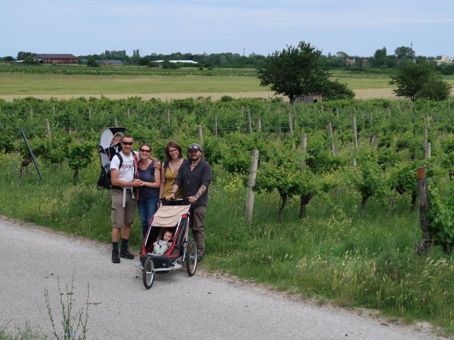 Nils, ich, Sabine, Ella, Hannelore und Manuel zwischen Pfaffstätten und Bühel