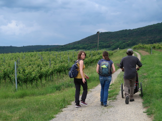 Hannelore, Sabine und Manuel zwischen Pfaffstätten und Bühel