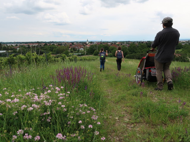 Sabine, Hannelore und Manuel am Bühel