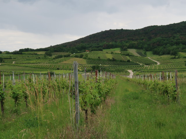 zwischen Bühel und 1. Wiener Hochquellenleitung