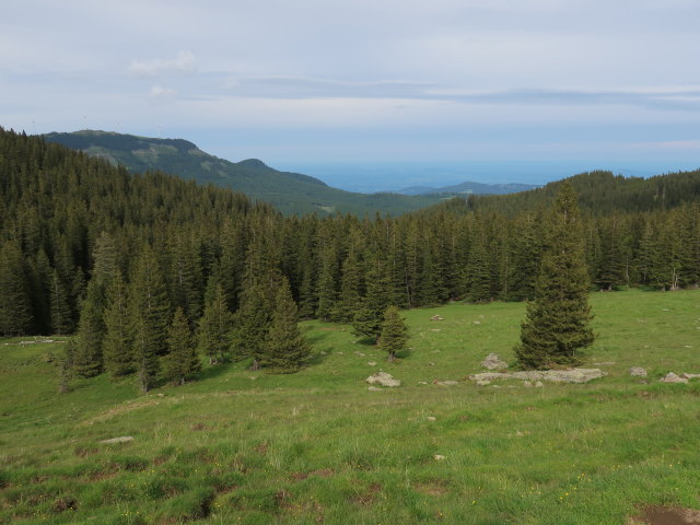 Bärentalalm (14. Juni)