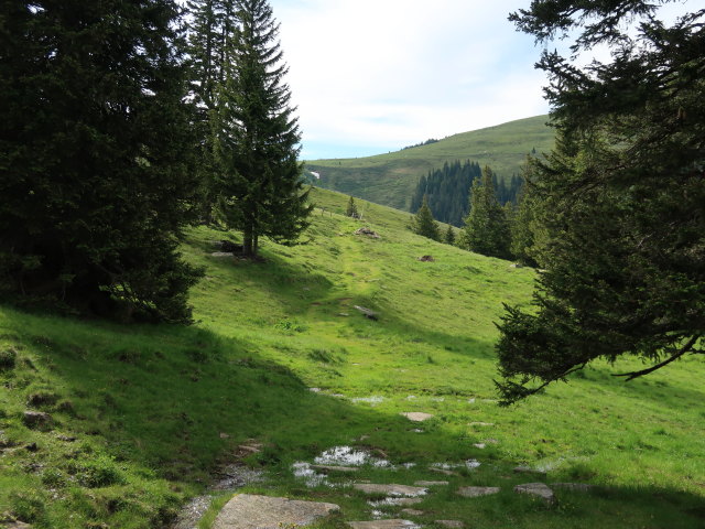 Bärentalalm (14. Juni)