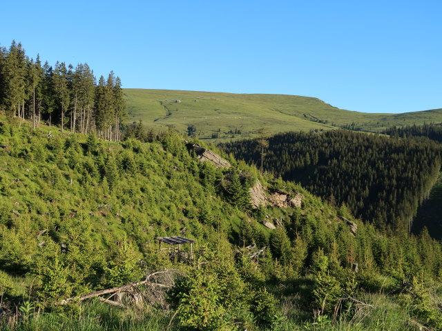 bei der Vorderen Seehütte, 1.573 m (15. Juni)