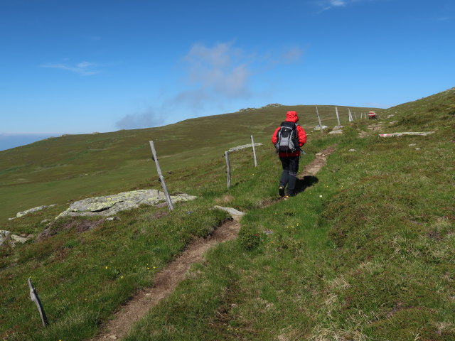 Carmen zwischen Frauenkogel und Scheibstatt (15. Juni)