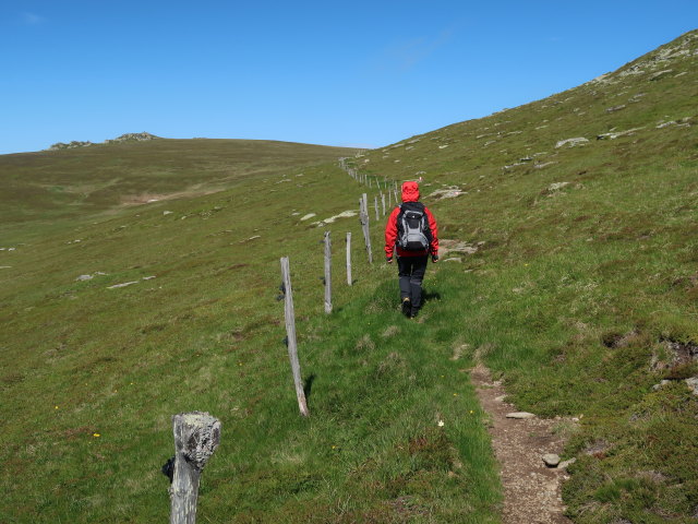 Carmen zwischen Frauenkogel und Scheibstatt (15. Juni)