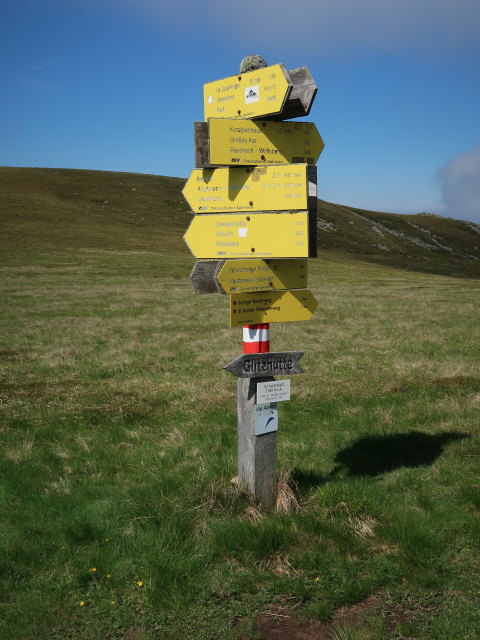 Scheibstatt, 2.040 m (15. Juni)