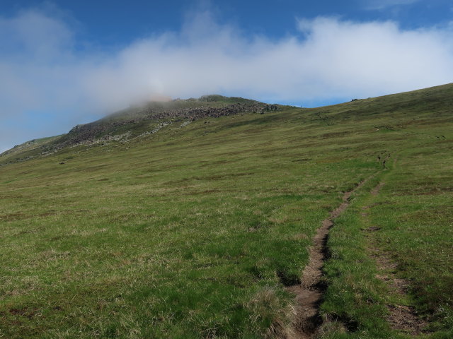 zwischen Scheibstatt und Speikkogel (15. Juni)