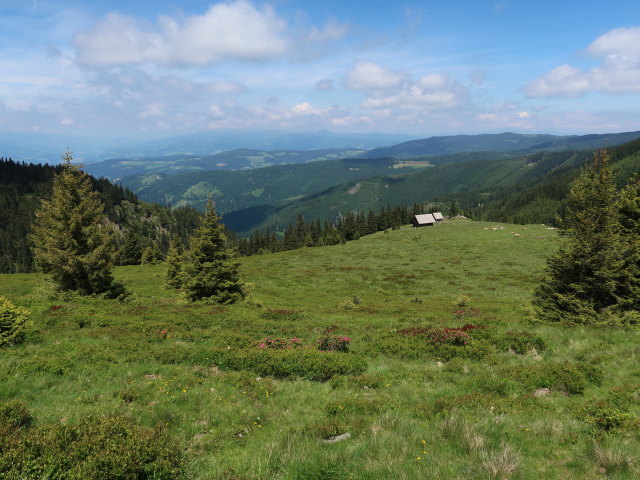 zwischen Schäferkreuz und Grillitschhütte (15. Juni)