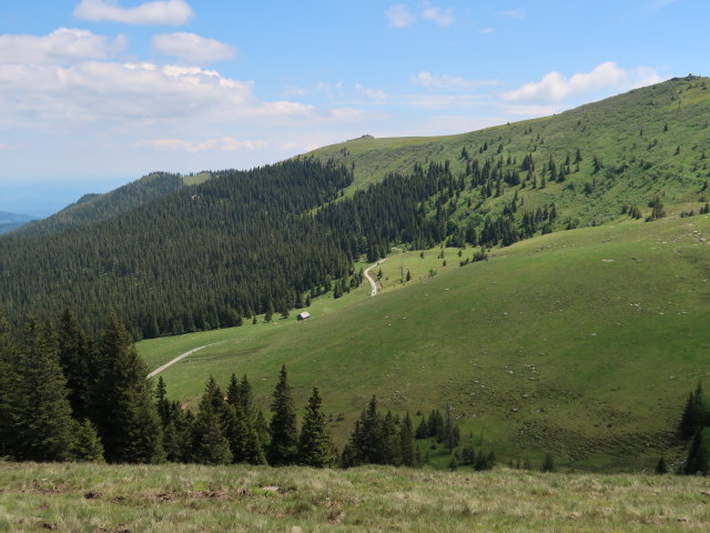 Bärentalalm (15. Juni)