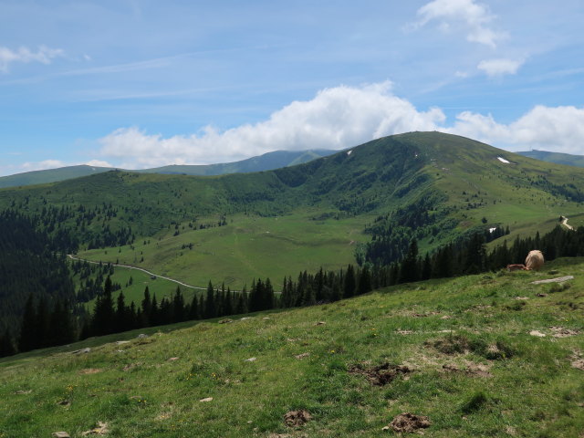 Bärentalalm (15. Juni)