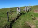 zwischen Frauenkogel und Scheibstatt (15. Juni)