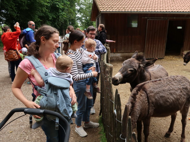 Sabine und Nils bei den Hauseseln