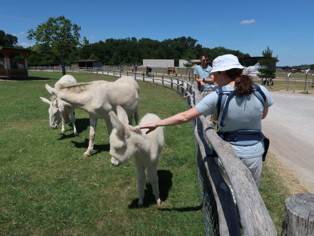 Sabine in der Tierwelt