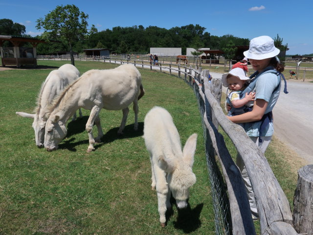 Nils und Sabine in der Tierwelt