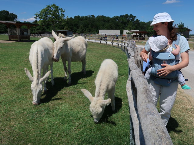 Nils und Sabine in der Tierwelt