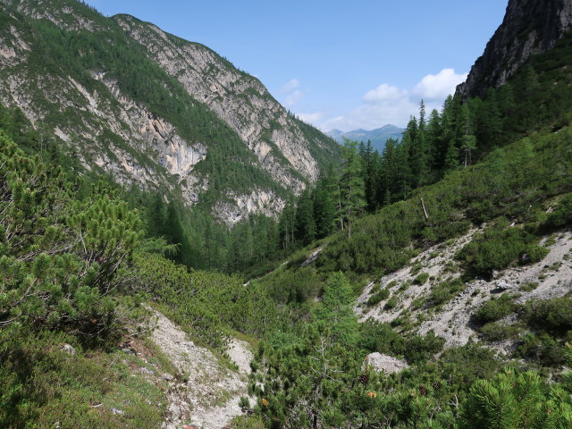 Kühbodental zwischen Kofelbach und Albrechthütte (29. Juni)