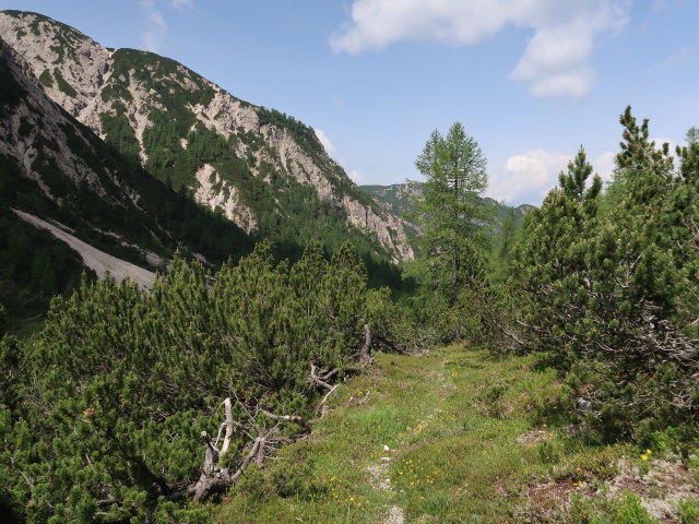 Kühbodental zwischen Albrechthütte und Kühbodentörl (29. Juni)