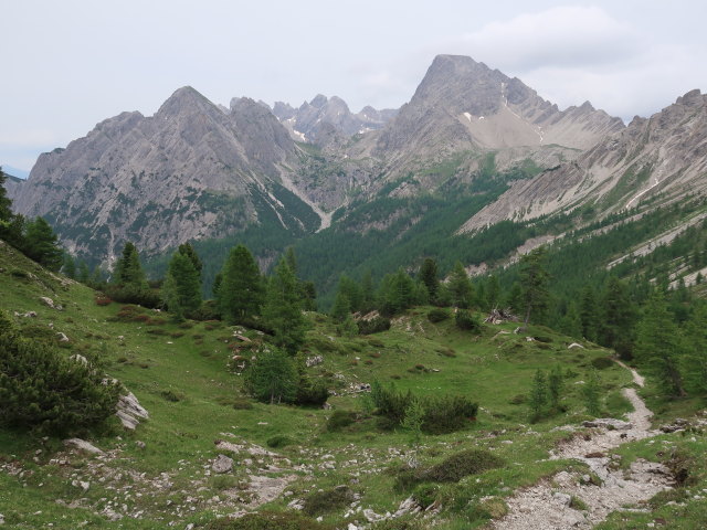 Kerschbaumeralm (29. Juni)