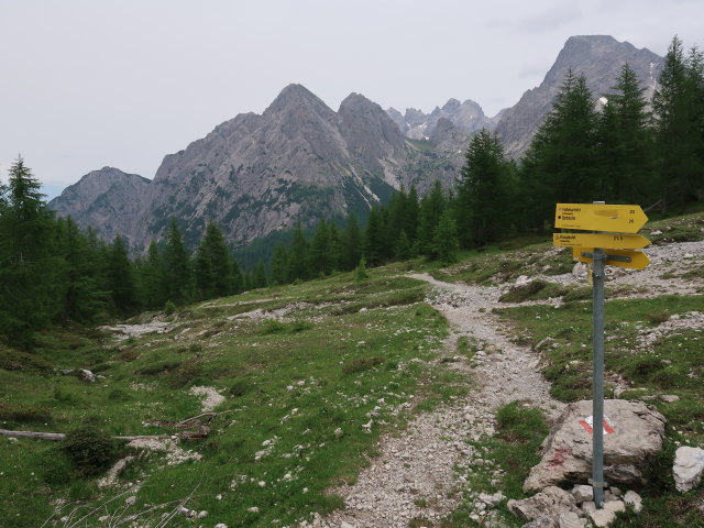 Kerschbaumeralm (29. Juni)