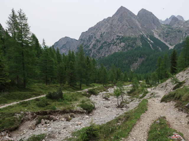 Kerschbaumeralm (29. Juni)