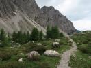 zwischen Marcherstein und Insteinhütte (30. Juni)