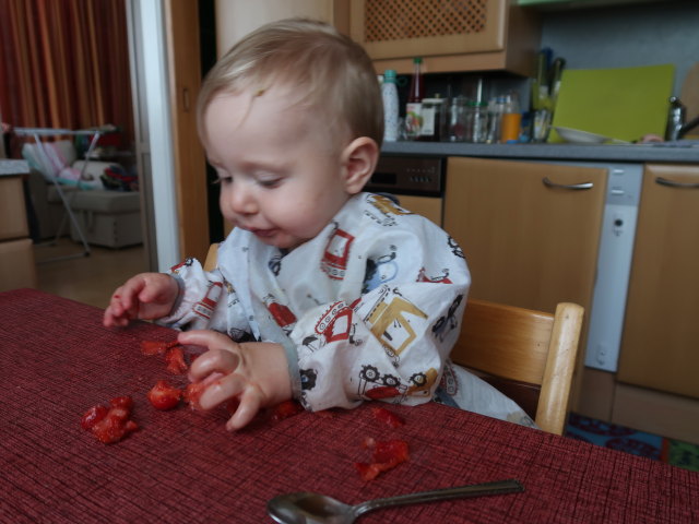 Nils in der Wohnung von Brigitte (3. Juli)