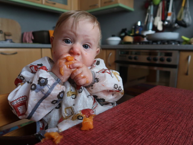 Nils in der Wohnung von Brigitte (3. Juli)