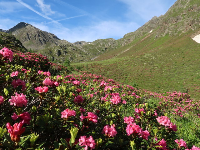 zwischen Moschwald und Sauspitze-Westgrat