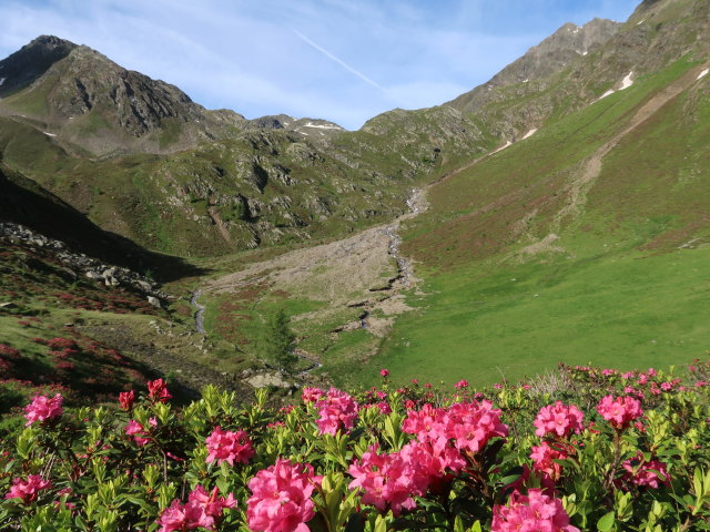 zwischen Moschwald und Sauspitze-Westgrat