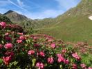 zwischen Moschwald und Sauspitze-Westgrat