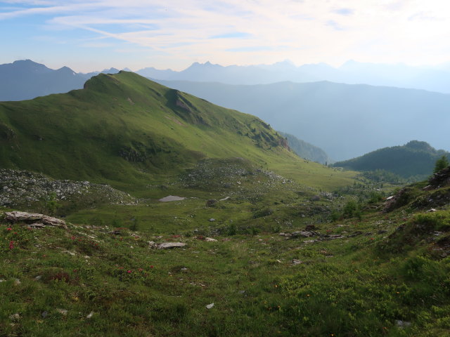 Passeggeralm vom Passeggertörl aus (14. Juli)