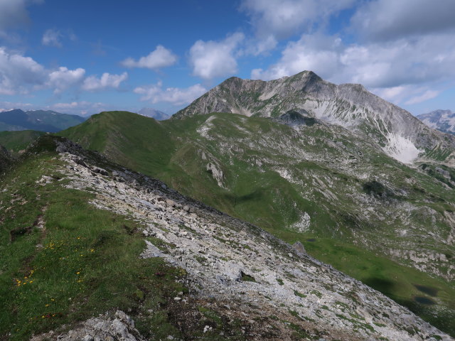 Weißeneck von der Lapernigspitze aus (14. Juli)