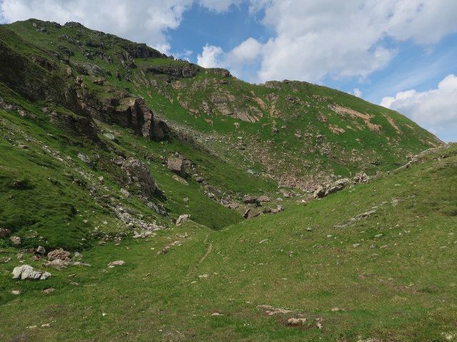 zwischen Grubachscharte und Wildalmsee (14. Juli)