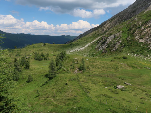 zwischen Grubachscharte und Wildalmsee (14. Juli)