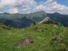 zwischen Grubachscharte und Wildalmsee (14. Juli)