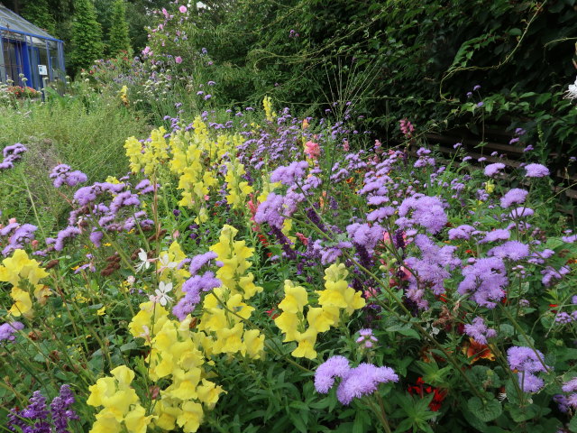 Die Garten Tulln