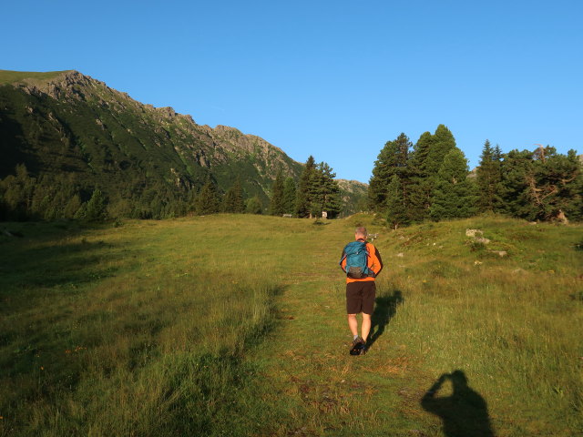 Frank auf der Scheibelalm