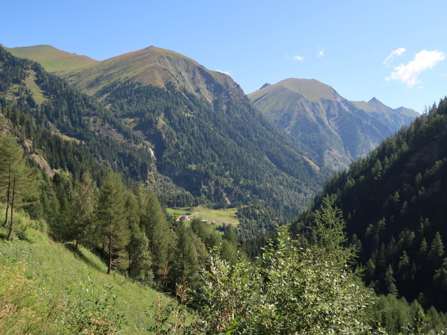 zwischen Gfrereralm und Unterem Rotgüldensee (10. Aug.)