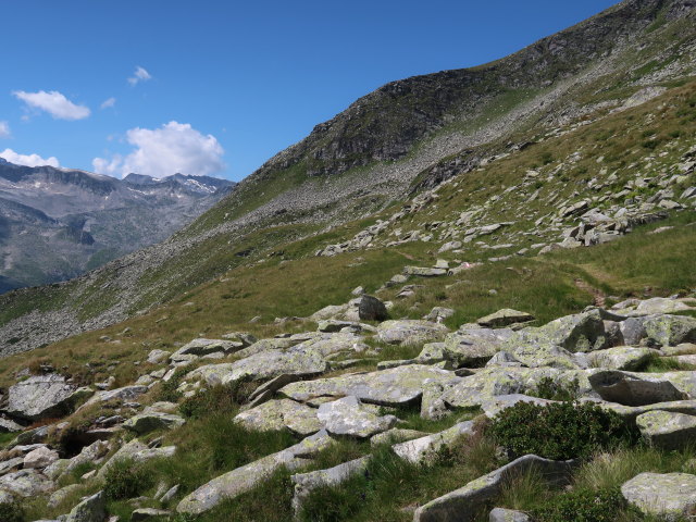 zwischen Kattowitzer Hütte und Krumpenbachleiten (11. Aug.)